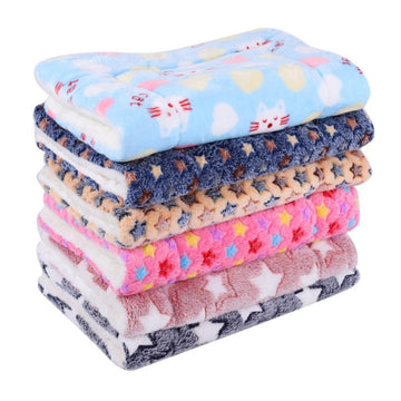 Winter Pet Flannel Blanket