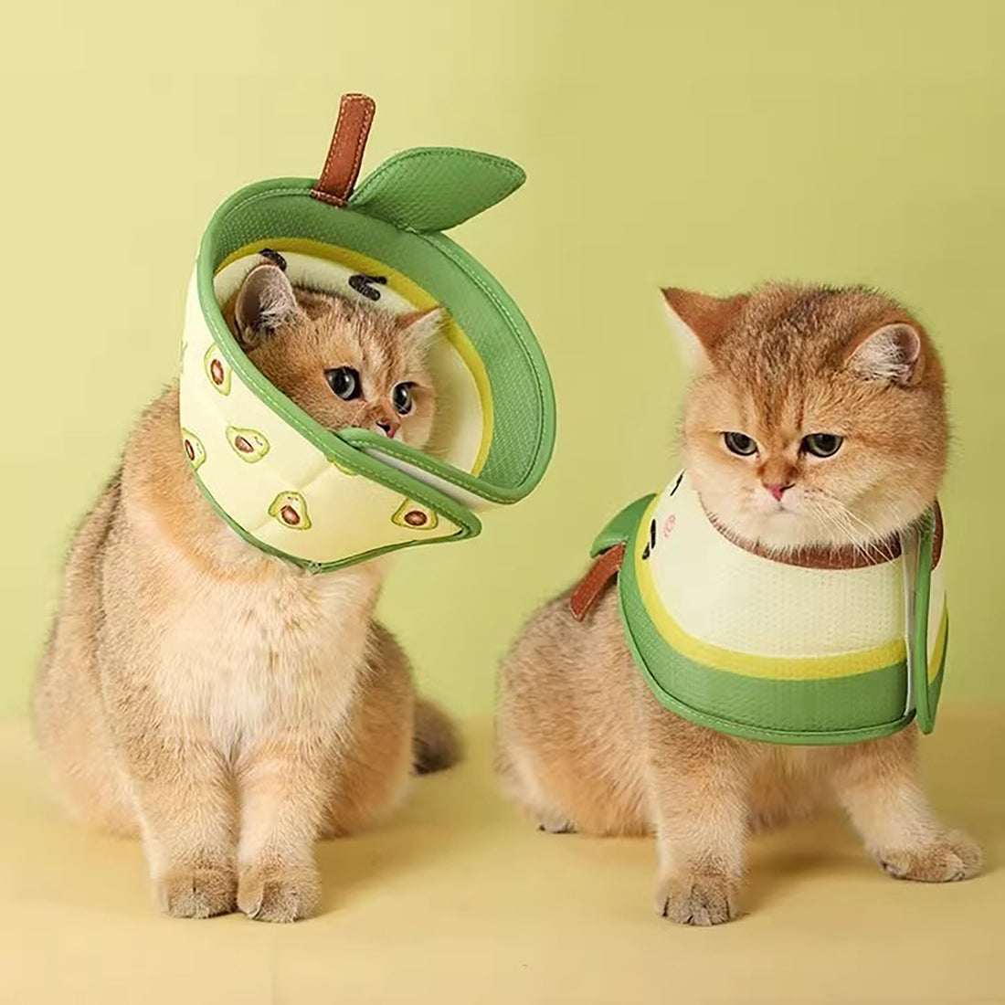 Adjustable Cat Recovery Collar