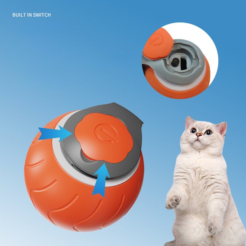 Speedy Tail Cat Interactive Toy