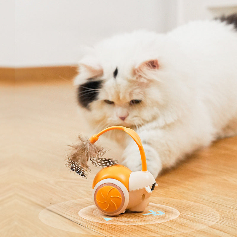 Remote-Controlled Cat Toy