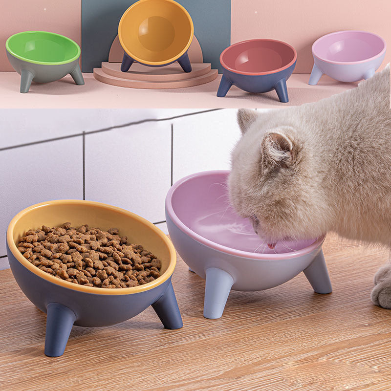 Elevated Cat Feeding Bowl