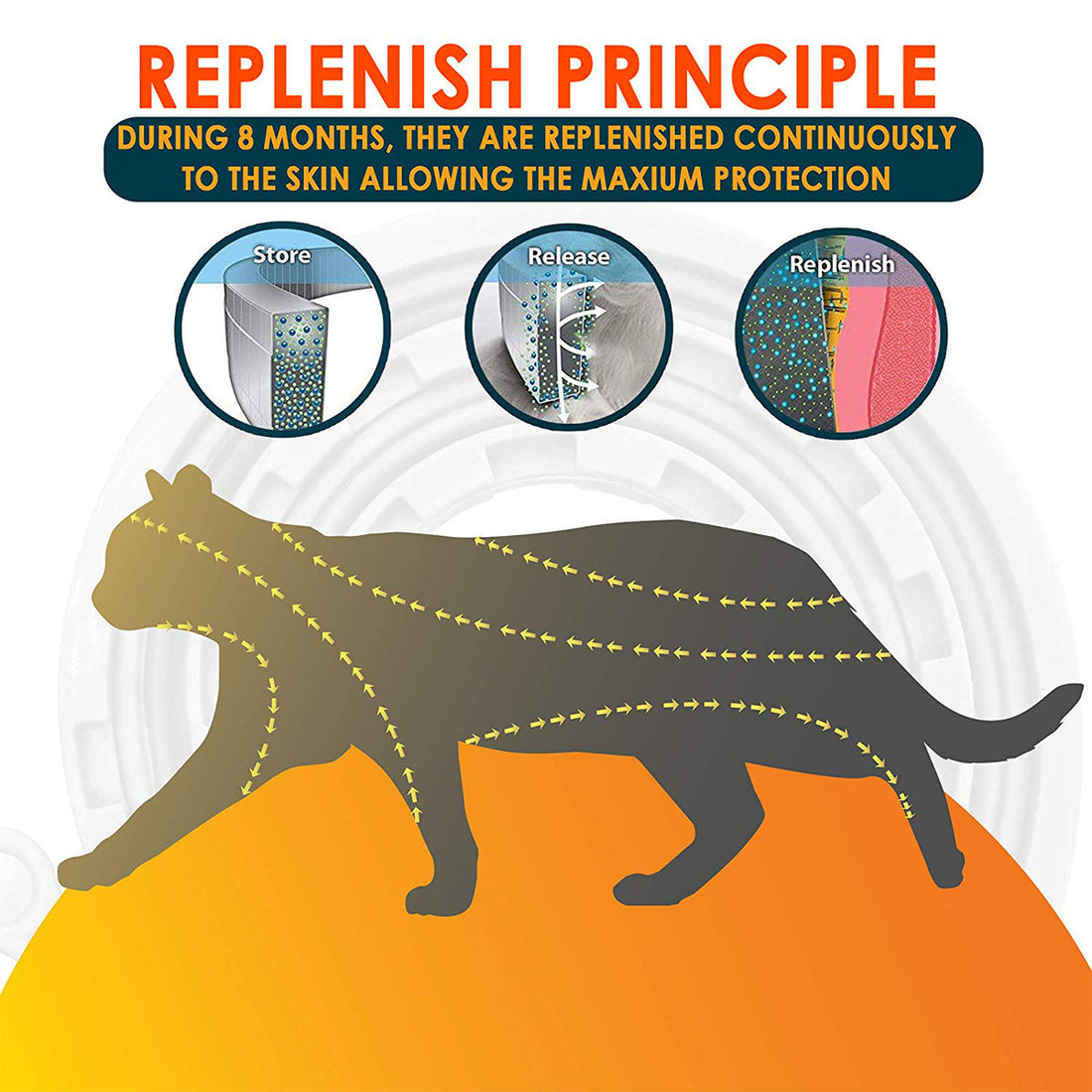Flea And Tick Collar