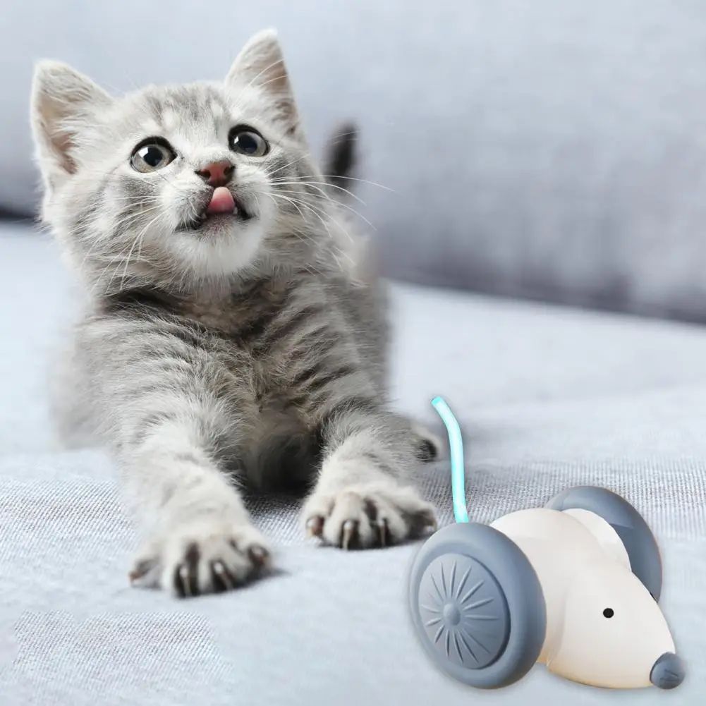 Interactive Electric Mouse Toy