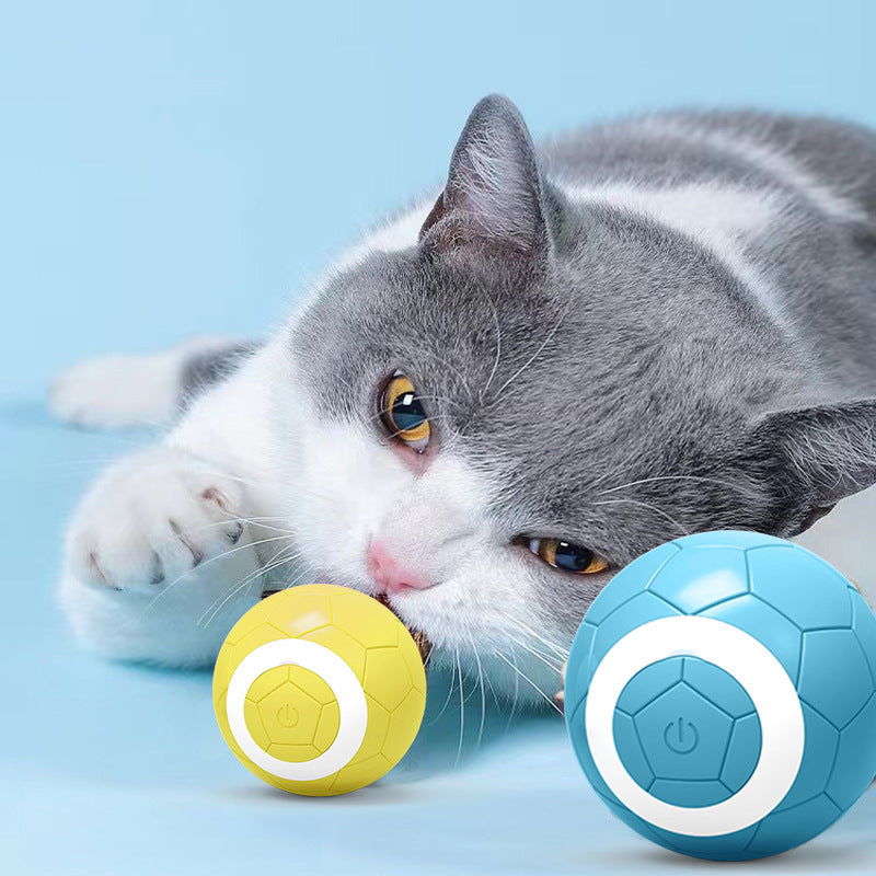 Gravity Cat Electric Ball Toy